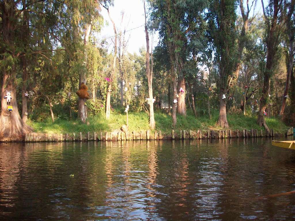 isola lago Xochimilco